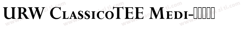 URW ClassicoTEE Medi字体转换